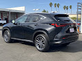 2024 Lexus NX 350h Premium