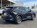 2024 Lexus NX 350h Premium