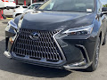 2024 Lexus NX 350h Premium