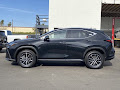 2024 Lexus NX 350h Premium