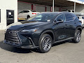 2024 Lexus NX 350h Premium