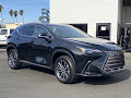 2024 Lexus NX 350h Premium