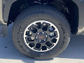 2025 Toyota Tacoma TRD Off Road Hybrid