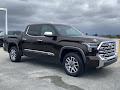 2025 Toyota Tundra 1794 Edition