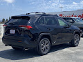 2025 Toyota RAV4 Hybrid XLE Premium