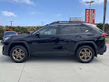 2024 Toyota RAV4 Woodland Edition