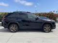2024 Toyota RAV4 Woodland Edition