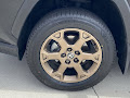 2024 Toyota RAV4 Woodland Edition