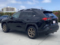 2024 Toyota RAV4 Woodland Edition