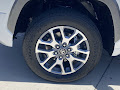 2025 Toyota Tundra 1794 Edition