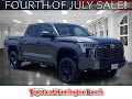 2025 Toyota Tundra 4WD Platinum