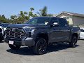 2025 Toyota Tundra 4WD Platinum