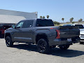 2025 Toyota Tundra 4WD Platinum