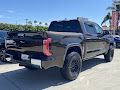 2025 Toyota Tundra 1794 Edition