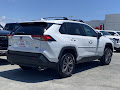 2025 Toyota RAV4 Hybrid XLE Premium