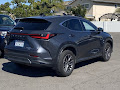 2024 Lexus NX 350h Premium