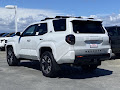 2026 Toyota 4Runner TRD Sport