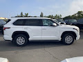 2025 Toyota Sequoia SR5