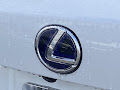2021 Lexus NX 300h