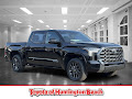 2026 Toyota Tundra Platinum Hybrid